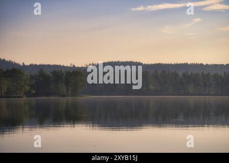 Blick über einen See in Schweden in Smalland mit Wald am anderen Ufer. Wilde Natur in Skandinavien. Landschaftsfoto aus dem Norden Stockfoto