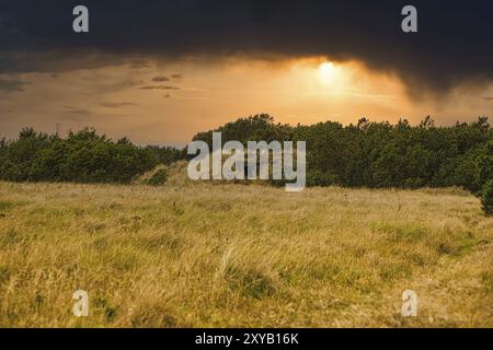 Bunker in den Dünen von Dänemark in schwarz und weiß genommen. Diese Bunker wurden während des Zweiten Weltkriegs gebaut. Reliquien aus einer dunklen Zeit Stockfoto