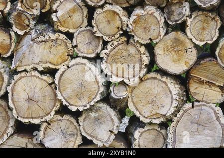 Holzstapel Korkeiche, Holzstapel aus Korkeiche 01 Stockfoto