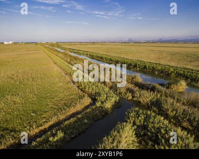 Canal des Sol, Parque Natural s'Albufera de Mallorca, Terminos Communales de Muro y sa Pobla. Mallorca, balearen, spanien Stockfoto