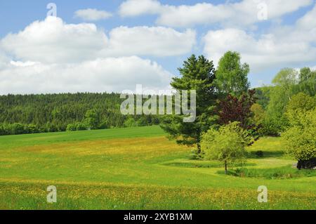 Neu- Schirgiswalde in der Oberlausitz. Die Oberlausitz in sachsen Stockfoto