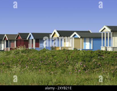 Schweden, Skane, Europa Stockfoto