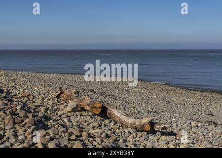 Lilstock Beach in Somerset, England, Großbritannien, mit Blick auf den Bristol Channel Stockfoto