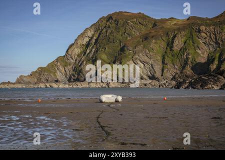 Ilfracombe, Devon, England, Großbritannien, der Blick vom Hafen in Richtung Hillsborough Hill Stockfoto