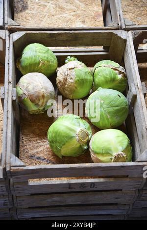 Broek op Langendijk, Niederlande. Juli 2023. Holzkisten mit Kartoffeln, Zwiebeln und Kohl Stockfoto