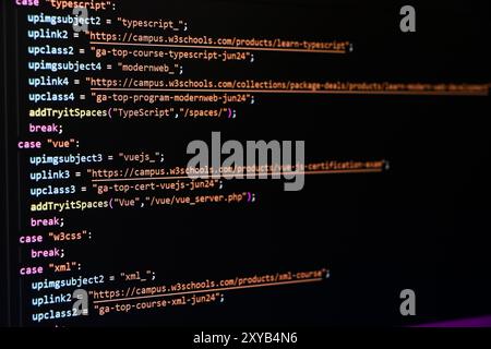 Software-Quellcode. Programmiercode. Programmiercode auf dem Computerbildschirm. Entwickler, die im Büro an Programmcodes arbeiten. Quellcode Stockfoto