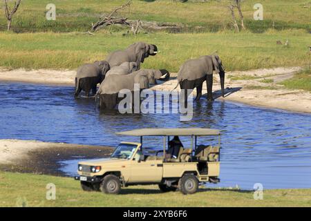 Safari Stockfoto