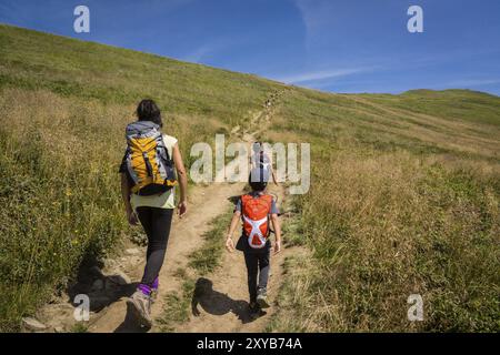 Wanderer auf dem Poloningrat Carynska, Nationalpark Bieszczady, UNESCO-Naturschutzgebiet Ostkarpaten, Woiwodschaft Kleinpolen Stockfoto