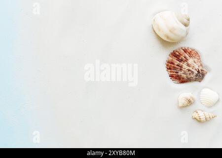 Reise- und Urlaubskonzept. Muscheln auf Sand und blauem Hintergrund. Reisen, Reise. Stockfoto