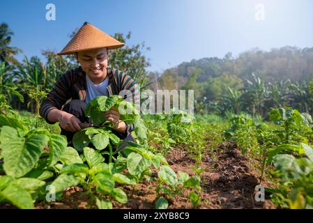 Ein indonesischer Bauer arbeitet auf einem Feld von Wasserspinatpflanzen. Er trägt einen Strohhut und lächelt Stockfoto