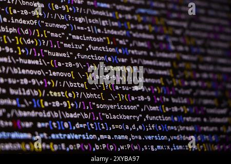 Software-Quellcode. Programmiercode. Programmiercode auf dem Computerbildschirm. Entwickler, die im Büro an Programmcodes arbeiten. Quellcode Stockfoto