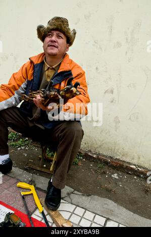 Illegaler Handel mit tierischen Teilen in China. Tigerpfote und andere Tigerteile sowie andere gefährdete Arten werden in ganz china verkauft. Stockfoto