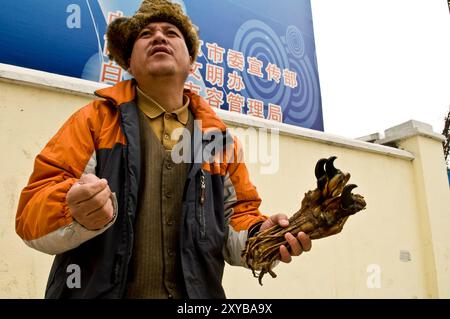Illegaler Handel mit tierischen Teilen in China. Tigerpfote und andere Tigerteile sowie andere gefährdete Arten werden in ganz china verkauft. Stockfoto