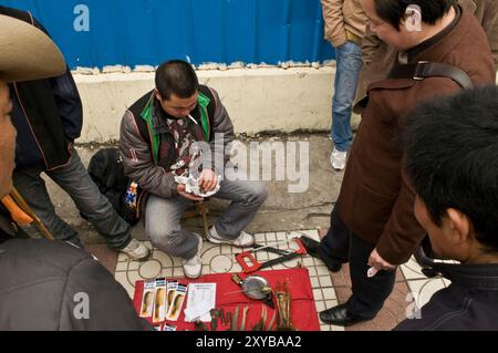 Illegaler Handel mit tierischen Teilen in China. Tigerpfote und andere Tigerteile sowie andere gefährdete Arten werden in ganz china verkauft. Stockfoto