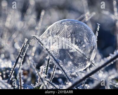 Seifenblase, auf der sich durch den Frost Eiskristalle gebildet haben. Im Licht der untergehenden Sonne. Auf der Seifenblase Due werden filigrane Muster erstellt Stockfoto