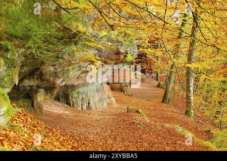 Altes Burggestein im Dahner Felsenland im Herbst, altes Burggestein im Dahn Rockland im Herbst, Deutschland, Europa Stockfoto