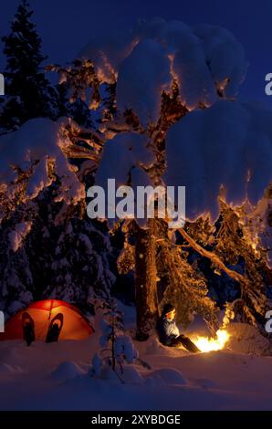 Mann sitzt neben seinem beleuchteten Zelt unter einem Baum am Lagerfeuer, Hedmarksvidda, Hedmark Fylke, Norwegen, Dezember 2011, Europa Stockfoto