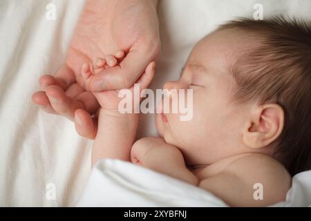 Die Hand des Babys in die Elternhand. Familienglückskonzept. Schlafendes Neugeborenes in den ersten Lebenstagen zu Hause Stockfoto