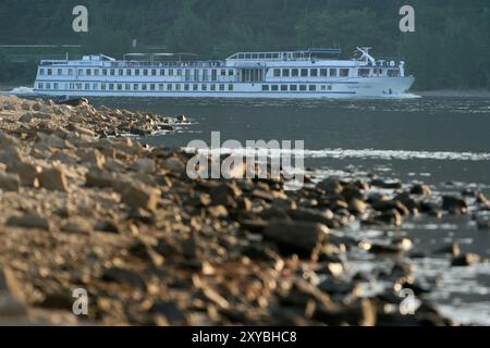 Spay, Deutschland. August 2024. Das niederländische Flusskreuzfahrtschiff „Rembrandt van Rijn“ befährt den Rhein bei Spay. Da die Frachtschiffe aufgrund des Niedrigwassers weniger Fracht transportieren können, werden sogenannte Niedrigwasserzuschläge erhoben. Quelle: Thomas Frey/dpa/Alamy Live News Stockfoto