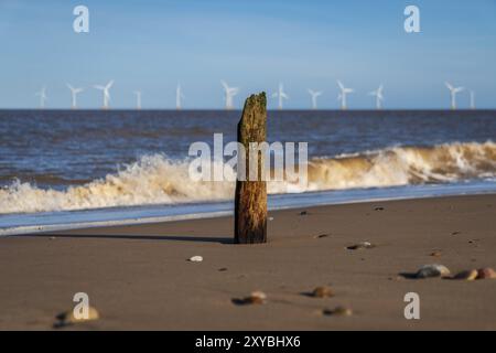 Nordseeküste in Caister-on-Sea, Norfolk, England, Großbritannien, mit einem Wellenbrecher am Strand und Windturbinen im Hintergrund Stockfoto