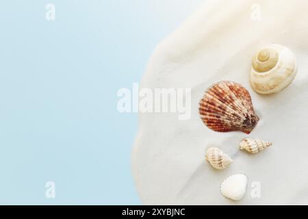 Reise- und Urlaubskonzept. Muscheln auf Sand und blauem Hintergrund. Reisen, Reise. Stockfoto