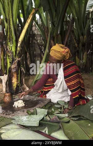 Frau der Dorze, die Kocho-Brotteig aus abessinischen Bananenblättern (Ensete ventricosum) in der Nähe von Arba Minch im Süden Äthiopiens zubereitete Stockfoto