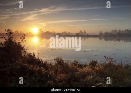 Aufgehende Sonne über dem wilden See während des nebeligen morgens, Drenthe, Niederlande Stockfoto