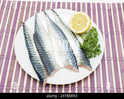 Rohe Makrelenfilets mit einer halben Zitrone und grüner Petersilie auf weißem Teller über violetter Holzplatte Stockfoto