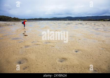 Bei Ebbe am Wallaga Lake in Narooma Australien New South Wales, Großbritannien, Europa Stockfoto