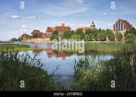 Blick über den Fluss Nogat, die Marienburg in Polen Stockfoto