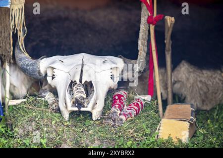 Bisonschädel vor einem Weidenbett mit Salbei in einem Tipi Stockfoto