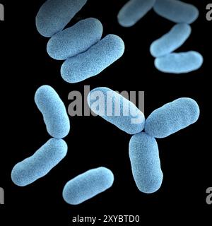 3D-Darstellung einer Gruppe grampositiver Bakterien, Corynebacterium diphtheriae. Diese künstlerische Nachbildung basiert auf Rasterelektronenmikroskope Stockfoto