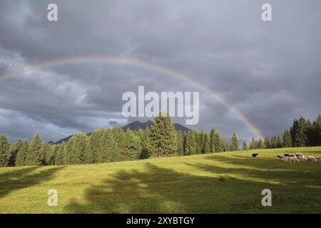 Regenbogen über Karwendelgebirge und Schafweide, Bayern, Deutschland, Europa Stockfoto