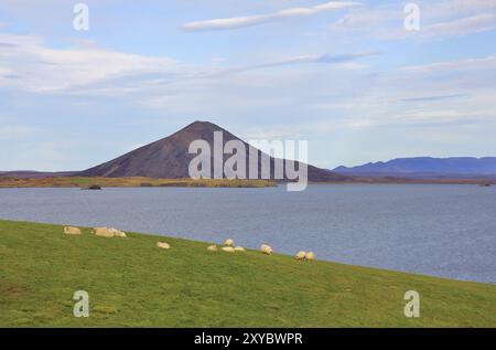 Landschaft im Norden Islands. See Myvatn Stockfoto