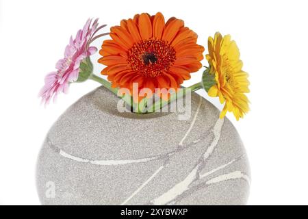 Drei bunte Gerbera-Blüten in einer Vase Stockfoto