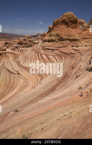 Die Welle im Paria Canyon Stockfoto