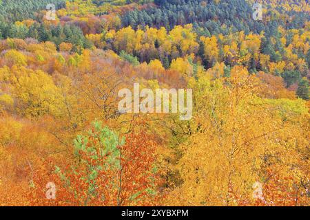 Altes Burggestein im Dahner Felsenland im Herbst, altes Burggestein im Dahn Rockland im Herbst, Deutschland, Europa Stockfoto