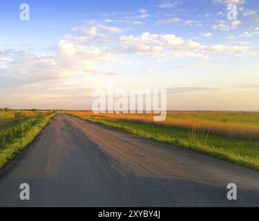 Gerade Asphaltstraße durch grüne Felder am bewölkten Abend in ruhiger Landschaft Stockfoto