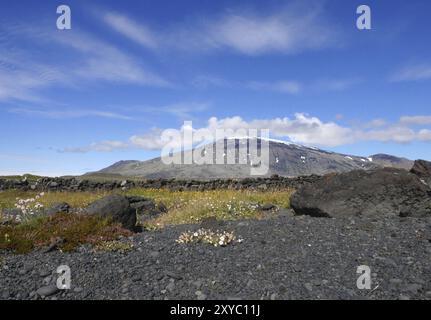 1446 m hoher Stratovulkan Snaefellsjoekull auf der Halbinsel Snaefellsnes in Island Stockfoto