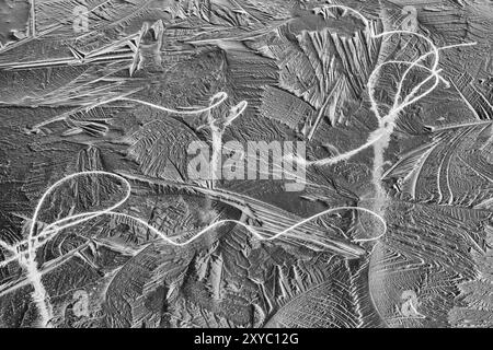 Schilf im Eis, Gaellivare Norrbotten, Lappland, Schweden, Oktober 2013, Europa Stockfoto