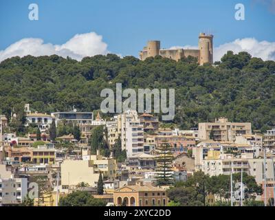 Blick auf die Stadt mit einem Schloss auf einem bewaldeten Hügel im Hintergrund und zahlreichen Gebäuden im Vordergrund unter sonnigem Himmel, palma de mallorca, b Stockfoto