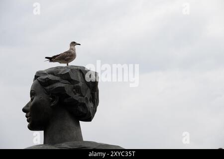 Eine unreife Heringsmöwe auf der Flut in der Jacuzzi-Skulptur, Victoria Square, Birmingham, Großbritannien Stockfoto