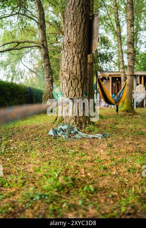 Slack Line montiert auf einem Baumstamm in einem Garten außerhalb der Natur an einem sonnigen Tag Stockfoto