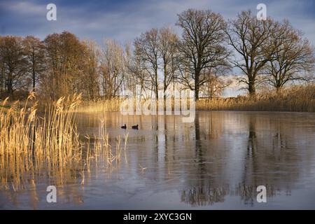 Frostiger See mit Kot im eisfreien Bereich. Bäume am Rand und Schilf im gefrorenen See. Sonnenschein und dramatischer Himmel. Landschaftsfoto von Brandenbur Stockfoto