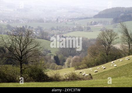 North Lippe Highlands Stockfoto