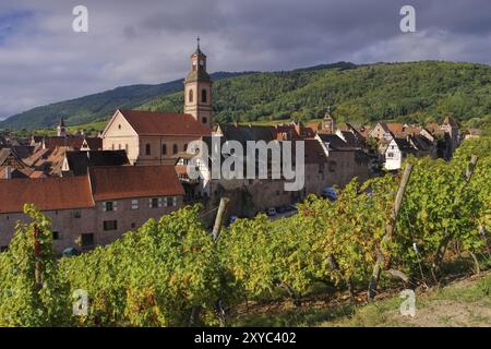 Weinberg und Stadtbild Riquewihr im Elsass, Frankreich, Weinberg und Stadtbild Riquewihr, Elsass in Frankreich, Europa Stockfoto