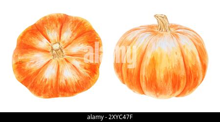 Orangefarbene Kürbisse, Kürbis. Abbildung „Ernte“. Isoliertes Herbstgemüse-Clipart ausschneiden. Botanische realistische handgezeichnete Aquarellmalerei Stockfoto
