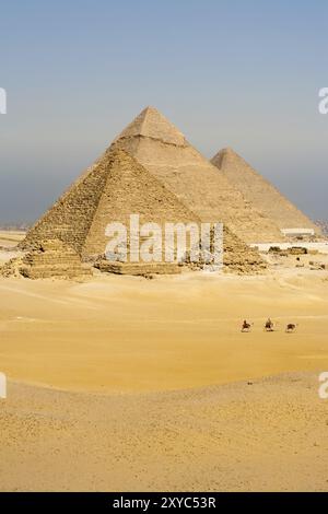 Eine Reihe von Kamelen transportiert Touristen vor allen Pyramiden von Gizeh in Kairo, Ägypten, Afrika Stockfoto