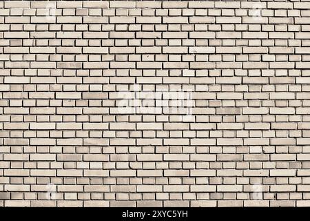 Sanddollar farbene Backsteinwand Hintergrund Stockfoto