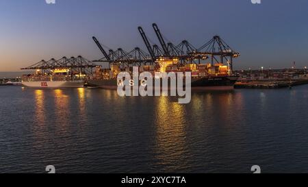 Felixstowe, Suffolk, England, Vereinigtes Königreich, 26. September, 2018: Containerschiffe im Hafen von Felixstowe Stockfoto